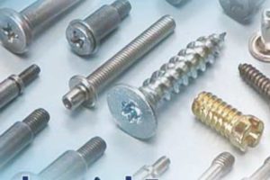 Lakshmi Precision Screws leading in exports