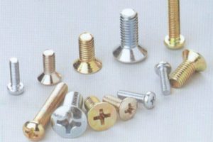 Pari Industries manufactures  M S Brass plated wood screws