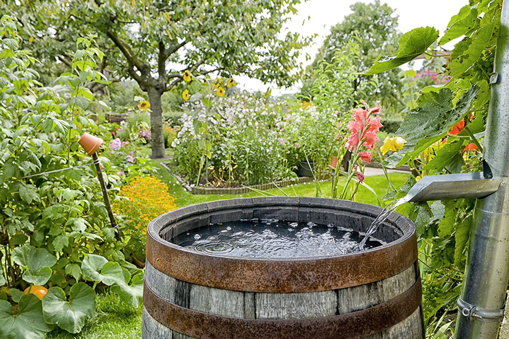 Rainwater Harvesting How Long Can India Afford To Ignore It 