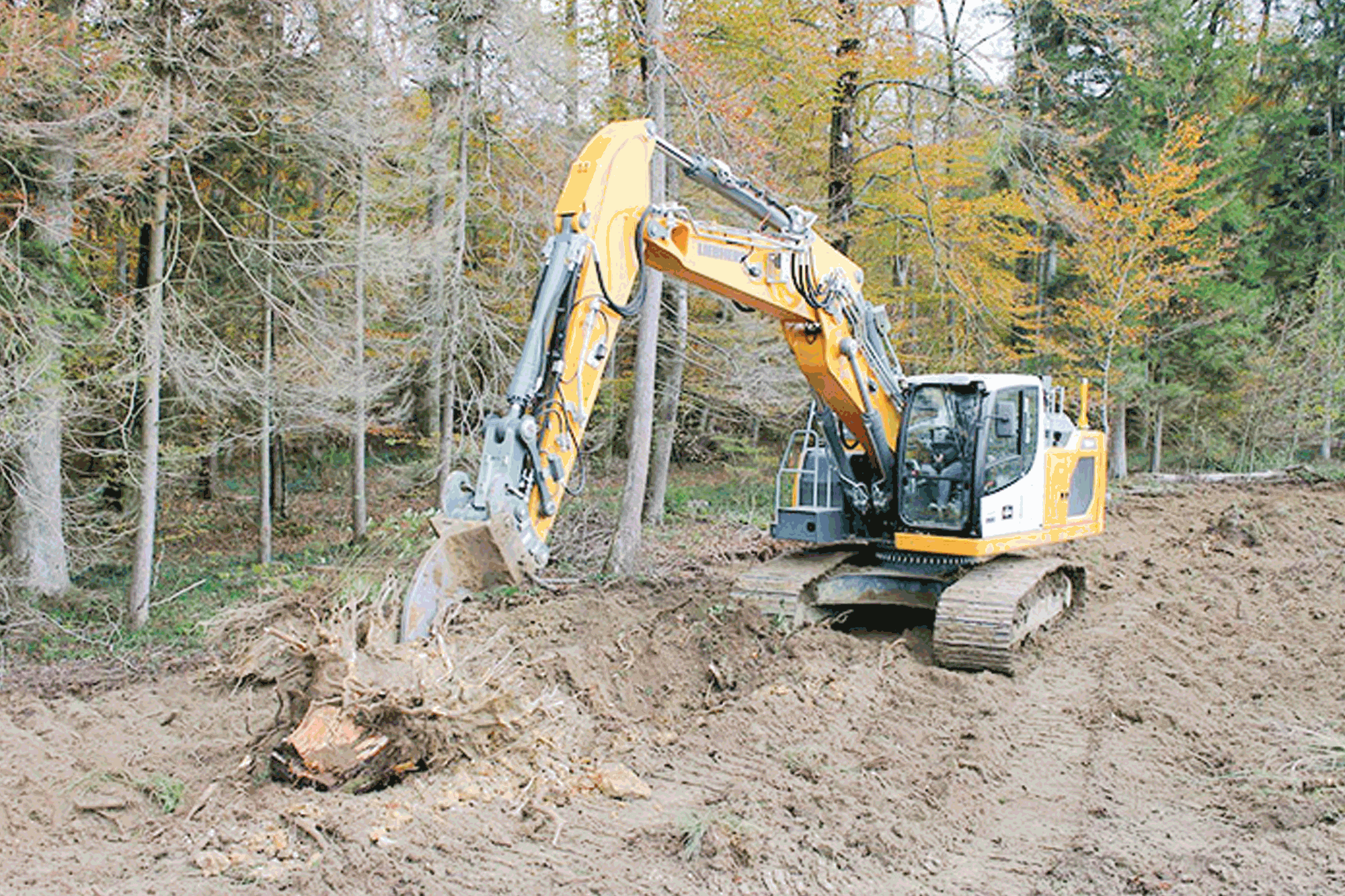 Rokemann buys Liebherr R 924 G8 crawler excavator