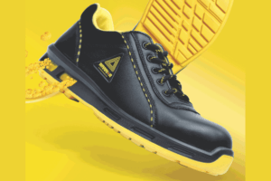 Warrior Safety Shoes completes 20 fabulous years