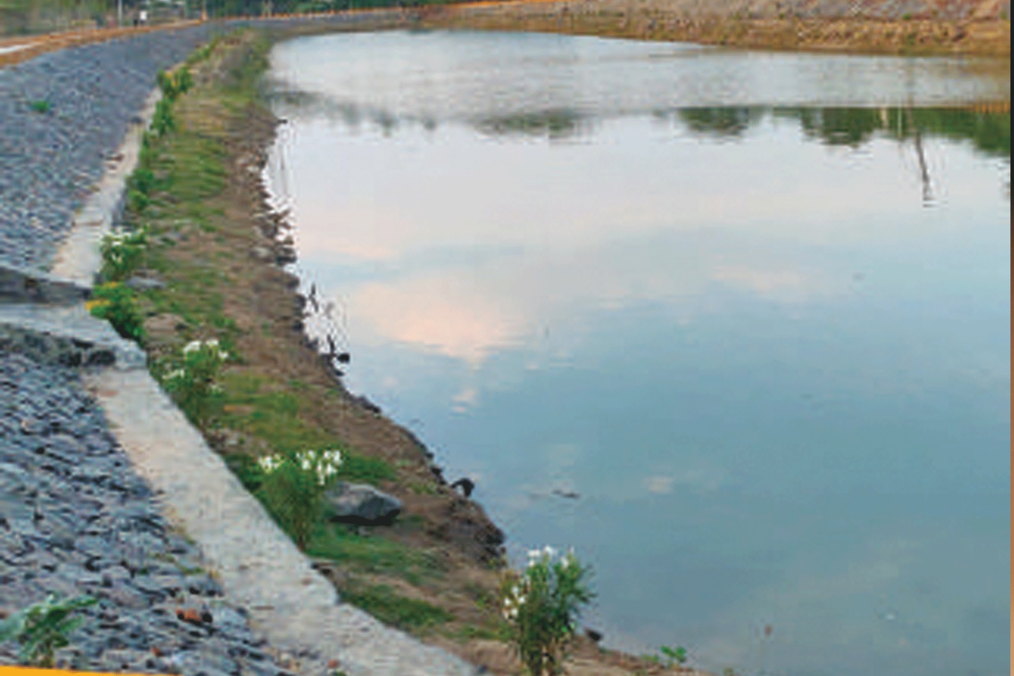 Grundfos India restores a 2.5 acre pond in Chennai