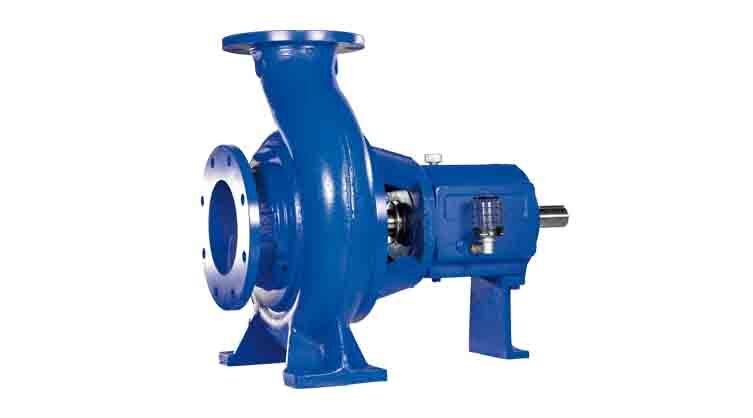 Industrial Pumps & Valves_B2B Purchase