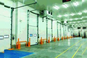 Avians redefining industrial door solutions with sectional overhead doors